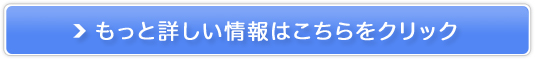 L̏LXbLuTvyVEyLz̔TCg